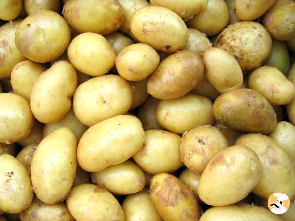 Le tour du monde de la pomme de terre en 6 recettes emblématiques!