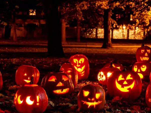 Halloween 2026 : combien les familles prévoient-elles de dépenser en bonbons et gourmandises ?