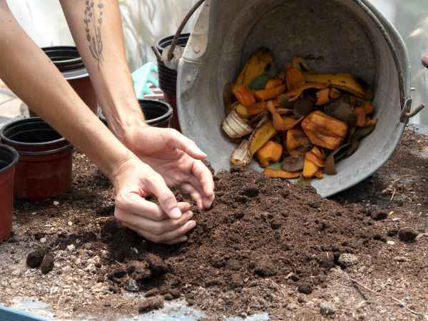 Ces 5 aliments à ne surtout pas mettre dans le composteur