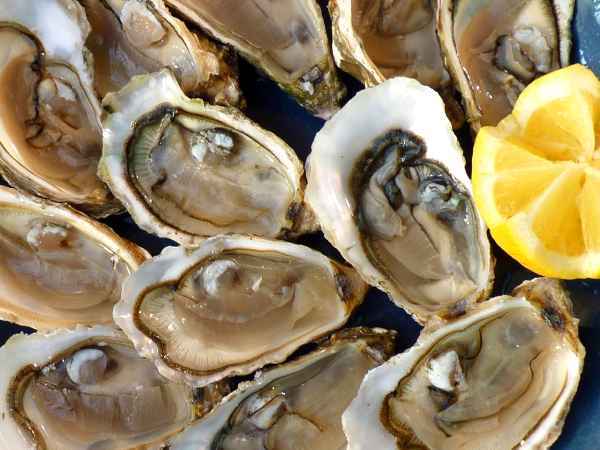 Comment ouvrir ses huîtres facilement et en toute sécurité?