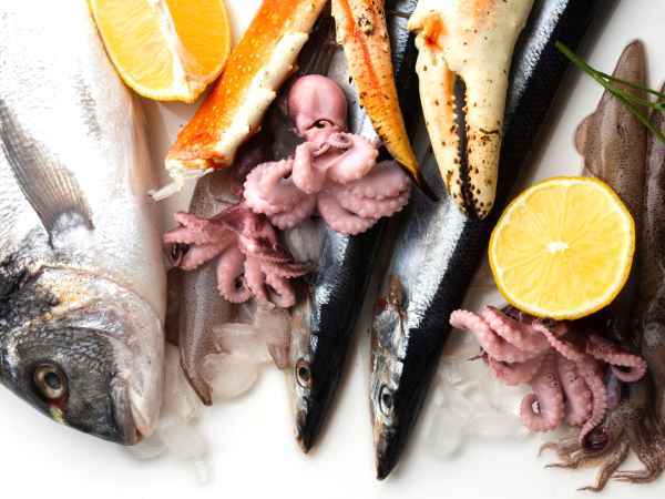 Les stars de la mer pour vos fêtes : 5 choix incontournables à la poissonnerie!