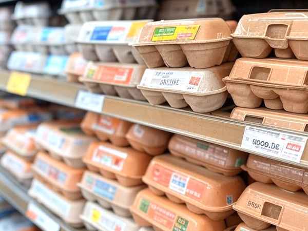 Pourquoi le prix des œufs explose aux États-Unis ? Bientôt chez nous aussi ?