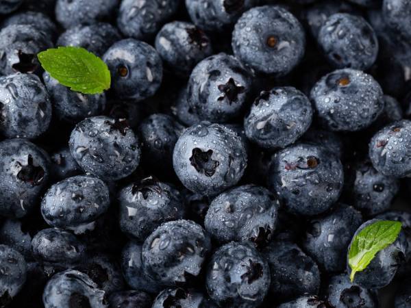 Pourquoi vous devriez manger des myrtilles tous les jours