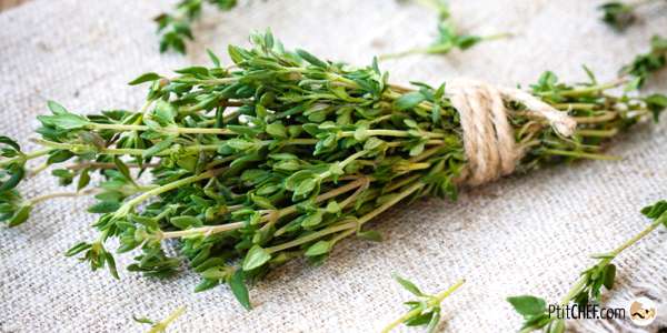 Top Des Recettes Au Thym