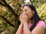 Dossiers: Printemps rime avec pollen : quels aliments pour moins éternuer?