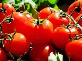 Zoom sur 6 variétés de tomates