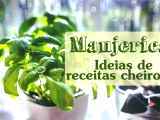 Dossiers: 20 ideias de receitas com Manjericão
