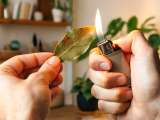 Dossiers: Brûler une feuille de laurier : simple rituel ou vrai effet sur le corps ? Ce que dit vraiment la science