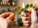 Dossiers: Brûler une feuille de laurier : simple rituel ou vrai effet sur le corps ? Ce que dit vraiment la science