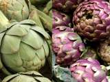 Dossiers: Artichaut violet ou vert : quelles différences et lequel choisir ?
