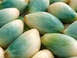 Dossiers: Ail vert ou bleu : faut-il vraiment le jeter ? Ce que cette couleur signifie