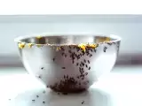 Dossiers: Fourmis dans la cuisine ? Voici les astuces de grand-mère qui fonctionnent vraiment