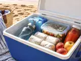 Dossiers: Bien organiser sa glacière de plage : quoi mettre au fond, quoi garder en haut et les aliments à éviter