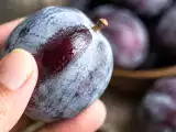 Dossiers: Pourquoi les prunes ont une pellicule blanche et comment savoir si elles sont bonnes à manger