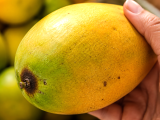 Dossiers: Avant d’acheter une mangue, ces petits détails peuvent révéler si elle sera vraiment sucrée...