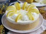 Dossiers: 14 desserts d’été sans four ni cuisson pour finir le repas tout en fraîcheur !