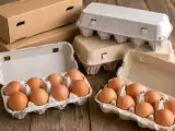 Dossiers: Des œufs vendus chez Lidl dans toute la France sont rappelés pour présence de salmonelles