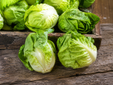 Dossiers: Vos salades semblent plus petites en ce moment ? La chaleur n’y est pas pour rien...
