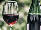 Ces trois vins s'accorderont à merveille avec ces succulentes recettes !
