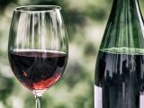 Ces trois vins s'accorderont à merveille avec ces succulentes recettes !