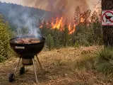 Dossiers: Incendies : avant d’allumer le barbecue, vérifiez ces interdictions locales