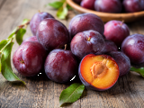 Dossiers: Prunes trop mûres : 7 idées rapides pour les sauver avant qu’elles ne finissent à la poubelle