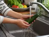 Dossiers: Légumes bio : l’eau suffit-elle vraiment pour les laver correctement ?