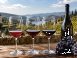 Quel Pinot Noir choisir selon vos goûts et votre repas ?