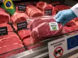 Dossiers: Bœuf brésilien : l’UE bloque de nouvelles importations, mais pas la viande déjà achetée