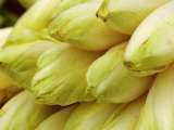 Dossiers: Comment éviter que les endives rendent toute leur eau dans le gratin