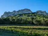 Dossiers: Crus des Côtes du Rhône : vous connaissez Châteauneuf-du-Pape ou Gigondas, mais connaissez-vous les 18 crus de cette grande région viticole ?