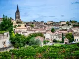 Dossiers: Saint-Émilion ne se résume pas à ses grands noms : découvrez les quatre appellations satellites qui révèlent une autre facette du vignoble bordelais
