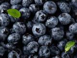 Dossiers: Pourquoi vous devriez manger des myrtilles tous les jours