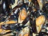 Recette Moules aux oignons, aux échalotes et à la crème