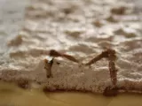 Recette Dacquoise aux noisettes chocolat-caramel