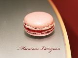 Recette Les macaron myrtille citron au thermomix