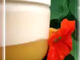 Recette Yaourt maison vanillé sur lit de mangue