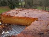 Recette Gâteau queijada de tasca da elvira