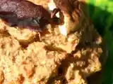Recette Cèpes farcis à la bordelaise