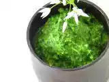 Recette Pesto à l'ail des ours...