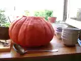 Recette Grande soupe au potiron pour petite fête de la courge entre amis