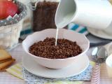 Recette Riz soufflé au chocolat - céréales type coco pops