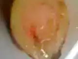 Recette Os à moelle et pot au feu