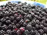Recette Confiture de mûres