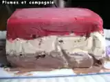 Recette Bûche glacée meringuée chocolat, vanille et framboise