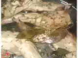 Recette Lapin vapeur