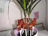 Recette Sucettes aux miel et aux caramel