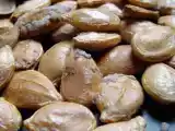 Recette Graines de potimarron grillées