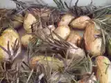 Recette Pommes de terre rattes au romarin