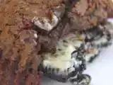 Recette Coeur fondant chocolat et oreo blanc